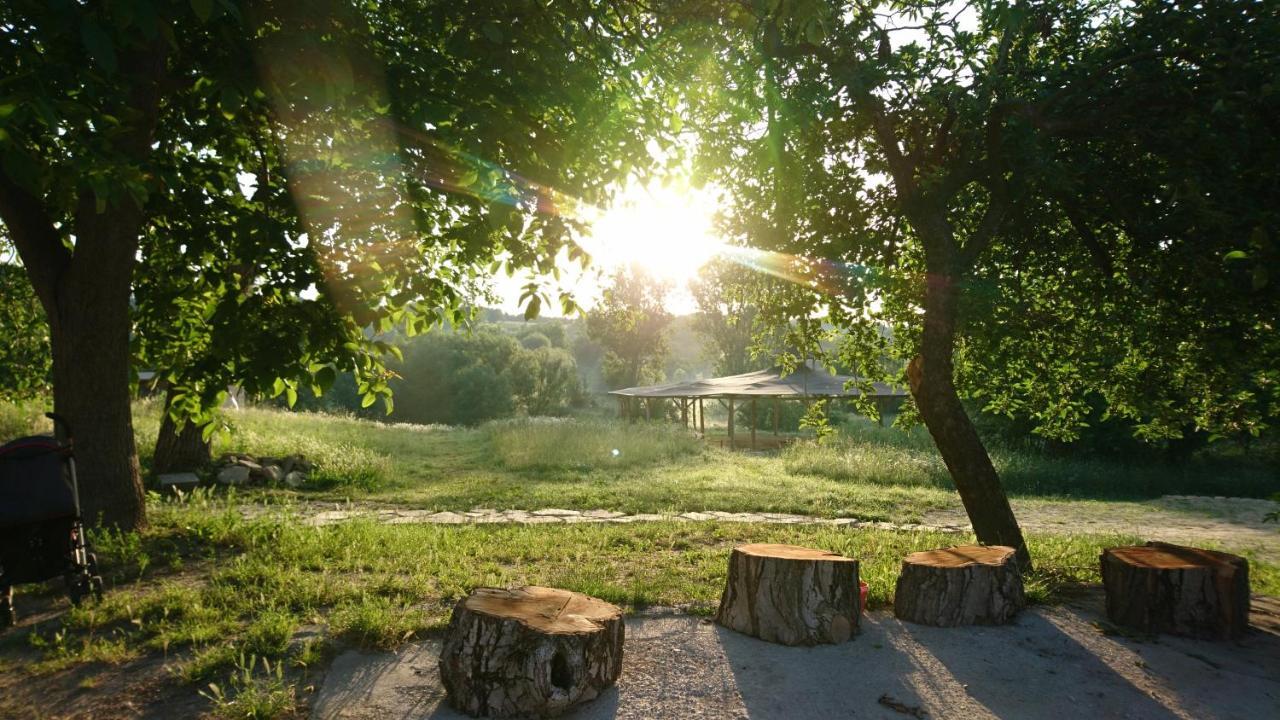 Szellős Rét Apartman Balvanyos Extérieur photo